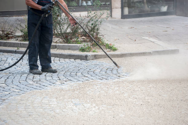 Best Fence Cleaning and Maintenance in Plymouth, NC
